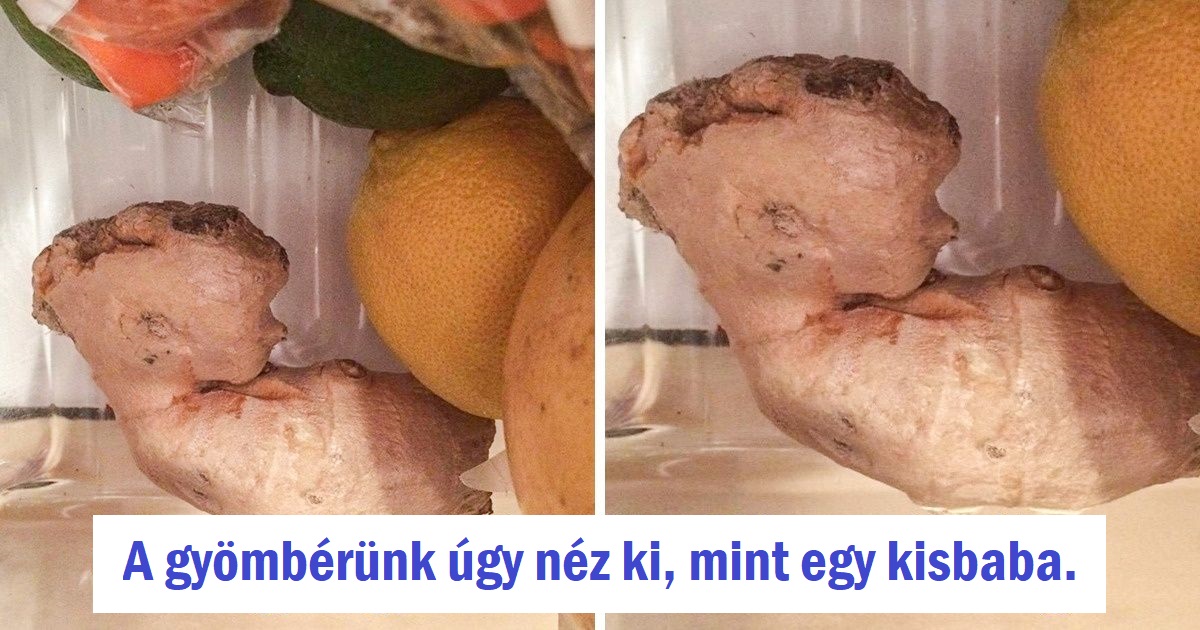 16 alkalom, amikor az emberek láttak valamit, ami becsapta a szemüket