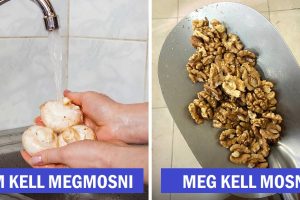 Megtudtuk, mely ételeket kell és melyeket nem szabad megmosni főzés előtt