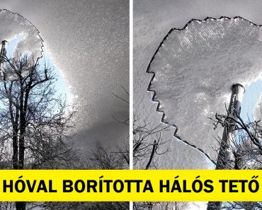15 ember, akiknek a napjai nem is lehetnének furcsábbak
