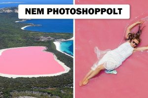Egy friss tanulmány felfedte a rózsaszín tó titkát