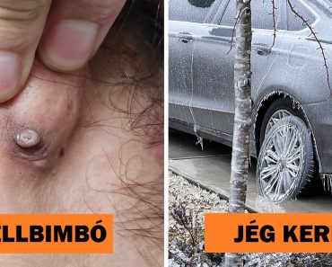 15 kivételes tulajdonság, amely még mindig meg tud minket lepni