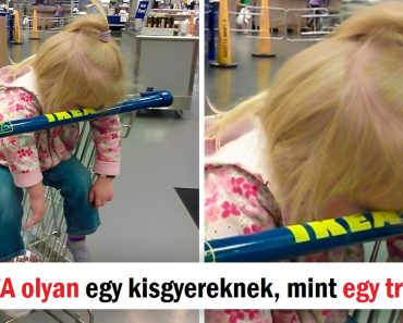 15 ember, akinek sikerült elkapnia a megfelelő pillanatot