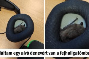 20+ fotó, amelyek elgondolkodtattak minket, hogy mi folyik itt valójában