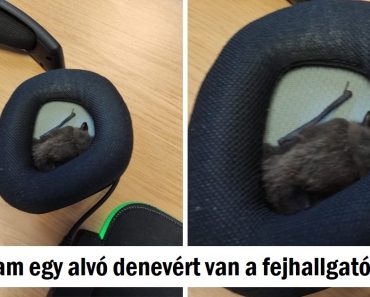 20+ fotó, amelyek elgondolkodtattak minket, hogy mi folyik itt valójában 20+ fotó, amelyek elgondolkodtattak minket, hogy mi folyik itt valójában