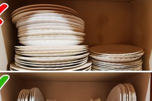 20+ ember, akinek sikerült tökéletesen elrendeznie a holmijait