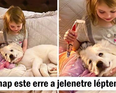 20 kép, amely bizonyítja, hogy a gyerekek és az állatok társak egy életre