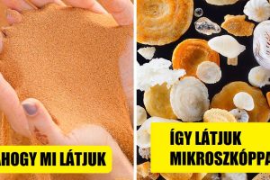 20 hétköznapi dolog, ahogy valószínűleg még soha nem láttad
