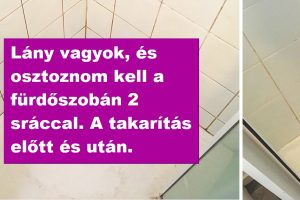 20+ ember, akinek sikerült megtisztítania olyan piszkos dolgokat, amelyekről úgy tűnt, hogy megtisztíthatatlanok