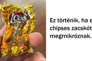 20+ alkalom, amikor az internetezők lenyűgöző válaszokat adtak a „mi lenne, ha” kérdésekre