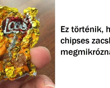 20+ alkalom, amikor az internetezők lenyűgöző válaszokat adtak a „mi lenne, ha” kérdésekre