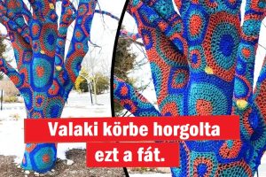 Az emberek megosztják a hétköznapi dolgok fotóit, amelyek úgy néznek ki, mintha egy párhuzamos univerzumból származnának