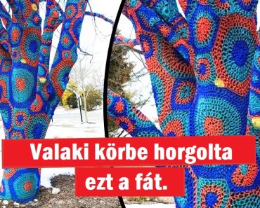Az emberek megosztják a hétköznapi dolgok fotóit, amelyek úgy néznek ki, mintha egy párhuzamos univerzumból származnának