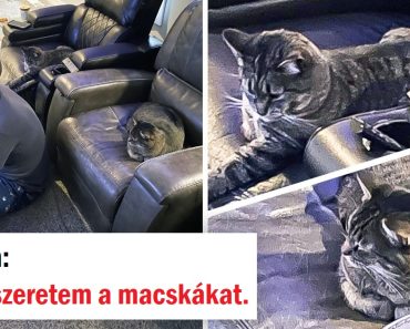 15 ember, akinek a családja iránti szeretete mérhetetlen