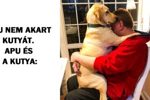 20 ember, akik nem akarták „azokat az állatokat a házban”, de most már egyetlen napot sem bírnak ki nélkülük