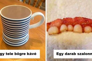 20 kép, amitől eldobod az agyadat, amíg egy kicsit közelebb nem nézel