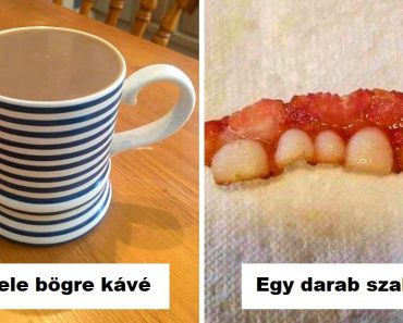 20 kép, amitől eldobod az agyadat, amíg egy kicsit közelebb nem nézel