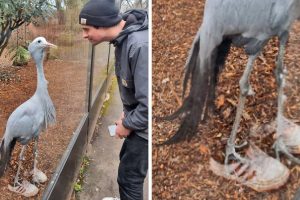 15 kép, amelyek közelebbről többet mutatnak