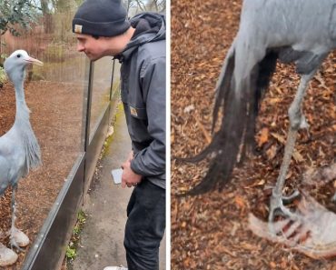 15 kép, amelyek közelebbről többet mutatnak