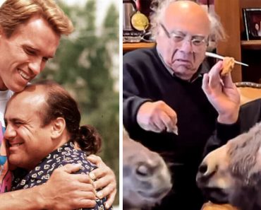 Arnold Schwarzenegger és Danny DeVito újra összeállnak, hogy mindenkit meglepjenek Arnold Schwarzenegger és Danny DeVito újra összeállnak, hogy mindenkit meglepjenek