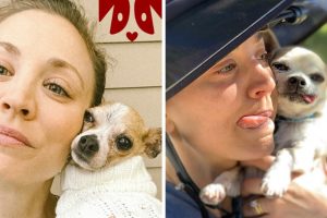 Egy közönséges növény majdnem megölte Kaley Cuoco kutyáját, és most azt akarja, hogy mindenki tisztában legyen vele