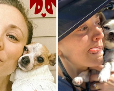 Egy közönséges növény majdnem megölte Kaley Cuoco kutyáját, és most azt akarja, hogy mindenki tisztában legyen vele Egy közönséges növény majdnem megölte Kaley Cuoco kutyáját, és most azt akarja, hogy mindenki tisztában legyen vele