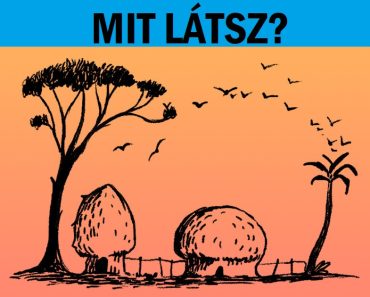 Felfedi a személyiségedet az első dolog, amit meglátsz Felfedi a személyiségedet az első dolog, amit meglátsz