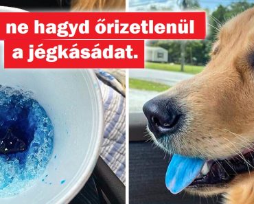 10+ pillanat, amikor az univerzum úgy döntött, hogy megtréfál minket 10+ pillanat, amikor az univerzum úgy döntött, hogy megtréfál minket