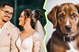 Egy állatbarát esküvő vitát vált ki: Gyerekeket NEM hívunk, a kutyákat szívesen látjuk