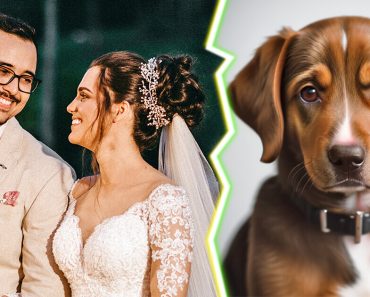 Egy állatbarát esküvő vitát vált ki: Gyerekeket NEM hívunk, a kutyákat szívesen látjuk