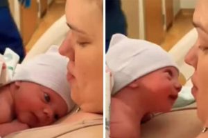 Egy alig néhány órás újszülött felemeli a fejét, hogy az anyukáját nézze