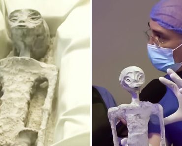 „Idegen múmiákat” találtak a perui reptéren, de a tudósok most felfedtek valami nyugtalanítót