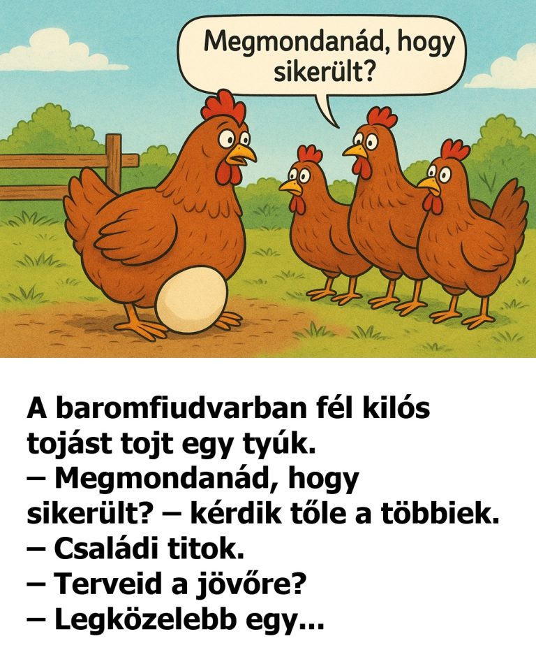 VICC: A baromfiudvarban fél kilós tojást tojt egy tyúk – 5percblog